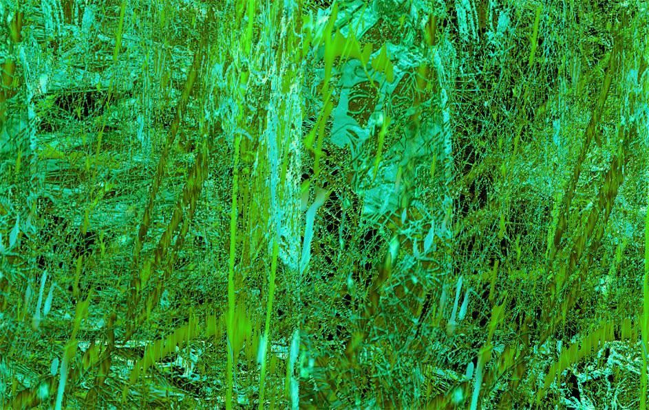 „vue tropicale II“, Pigmentdruck, Leinwand auf Holzmalgrund, 50 x 70cm und 90 x 60cm.  Preis auf Anfrage